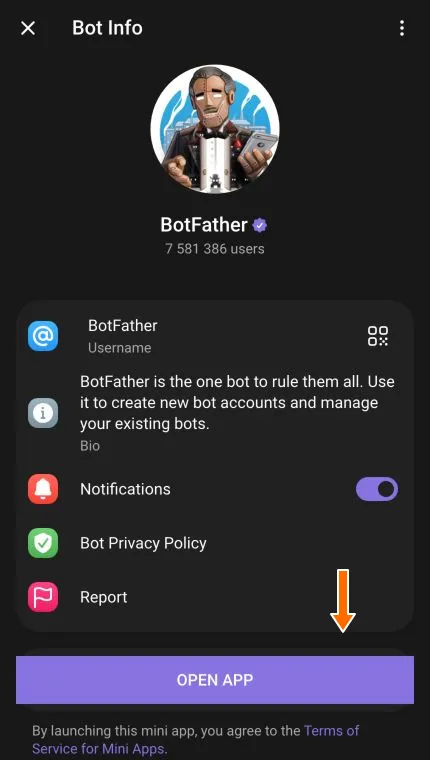 Open App button in the BotFather profile