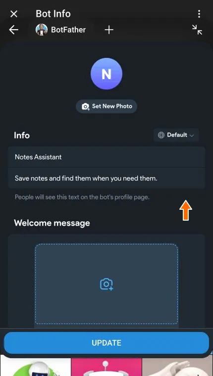 About field containing a short explanation of the bot’s purpose