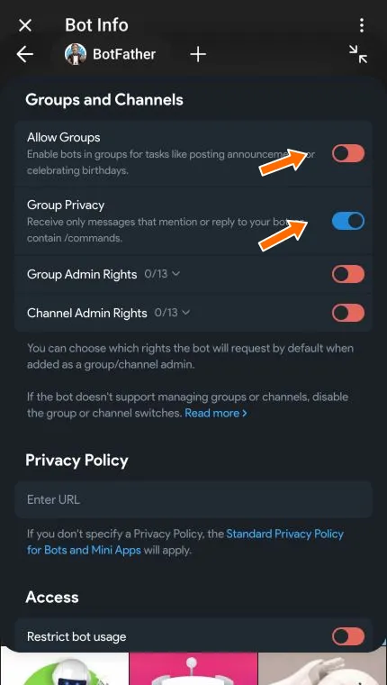 Groups and Channels section with Allow Groups and Group Privacy