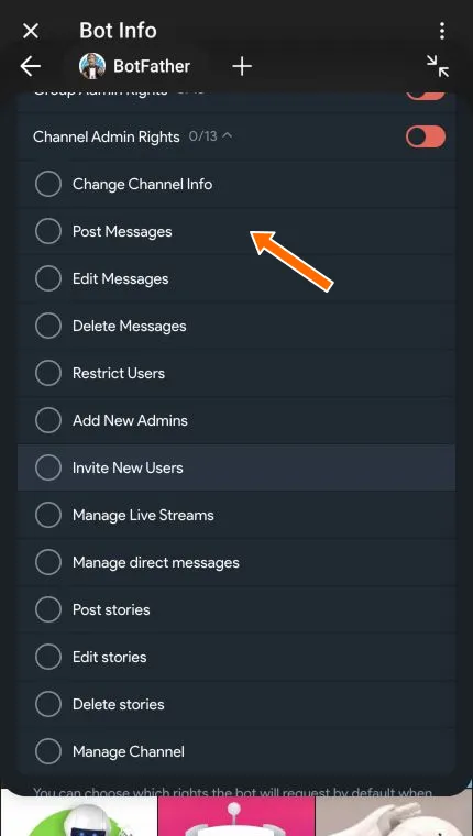 Complete list of channel administrator rights