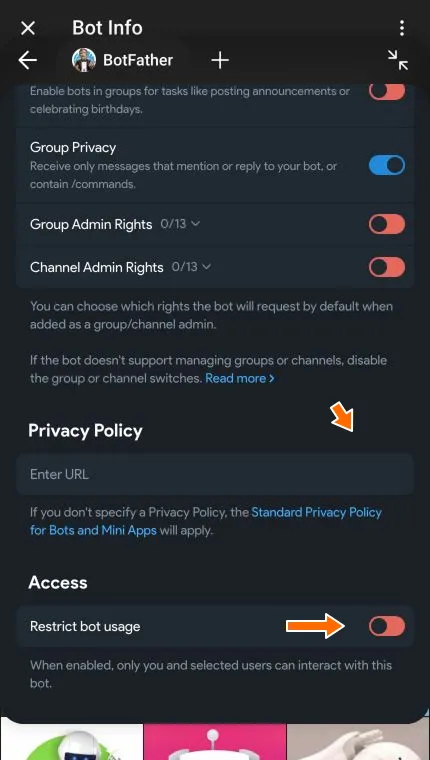 Privacy Policy field and Restrict bot usage switch